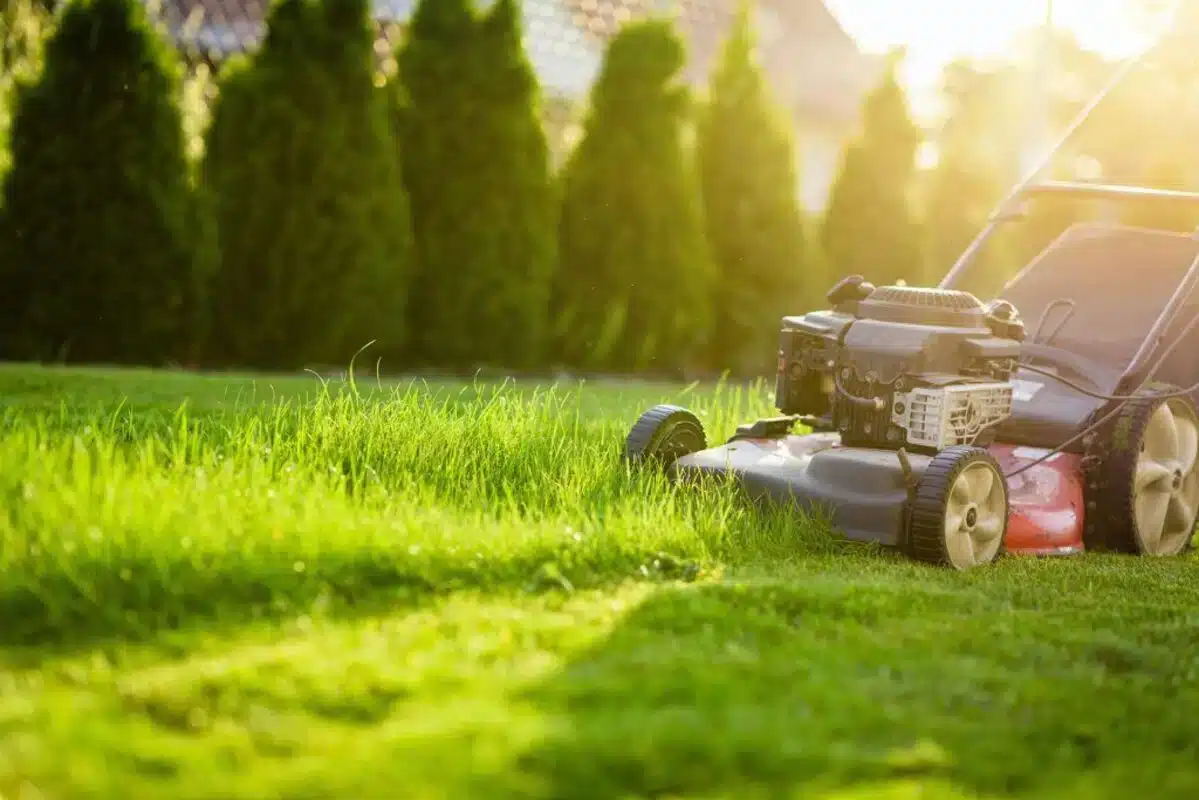 Jardin : il est strictement interdit de tondre la pelouse entre ces deux horaires dans ces 23 départements français