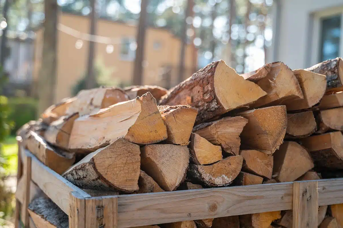 Prix d’un stère de bois en 50 cm en août 2025 ?