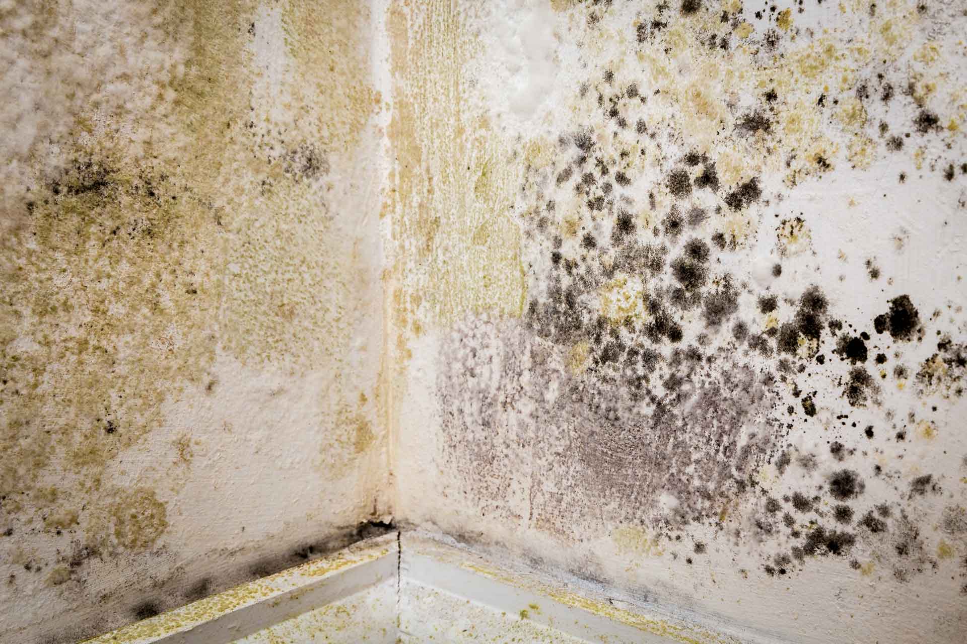 Adieu l’humidité : Depuis que j’utilise cette technique peu connue, l’humidité a disparu de chez moi