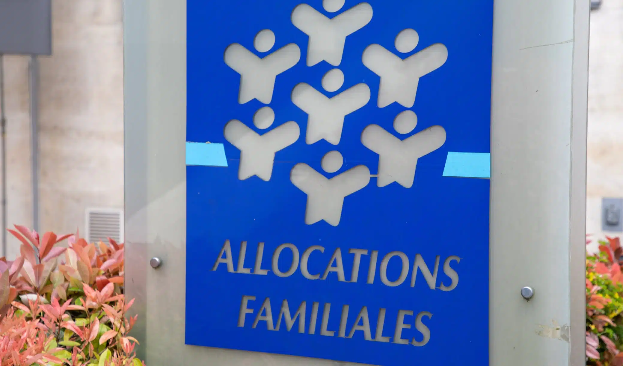 Arnaque à la sécu : elle vole 307 000€ de retraite pendant 25 ans en se faisant passer pour « sa mère décédée »