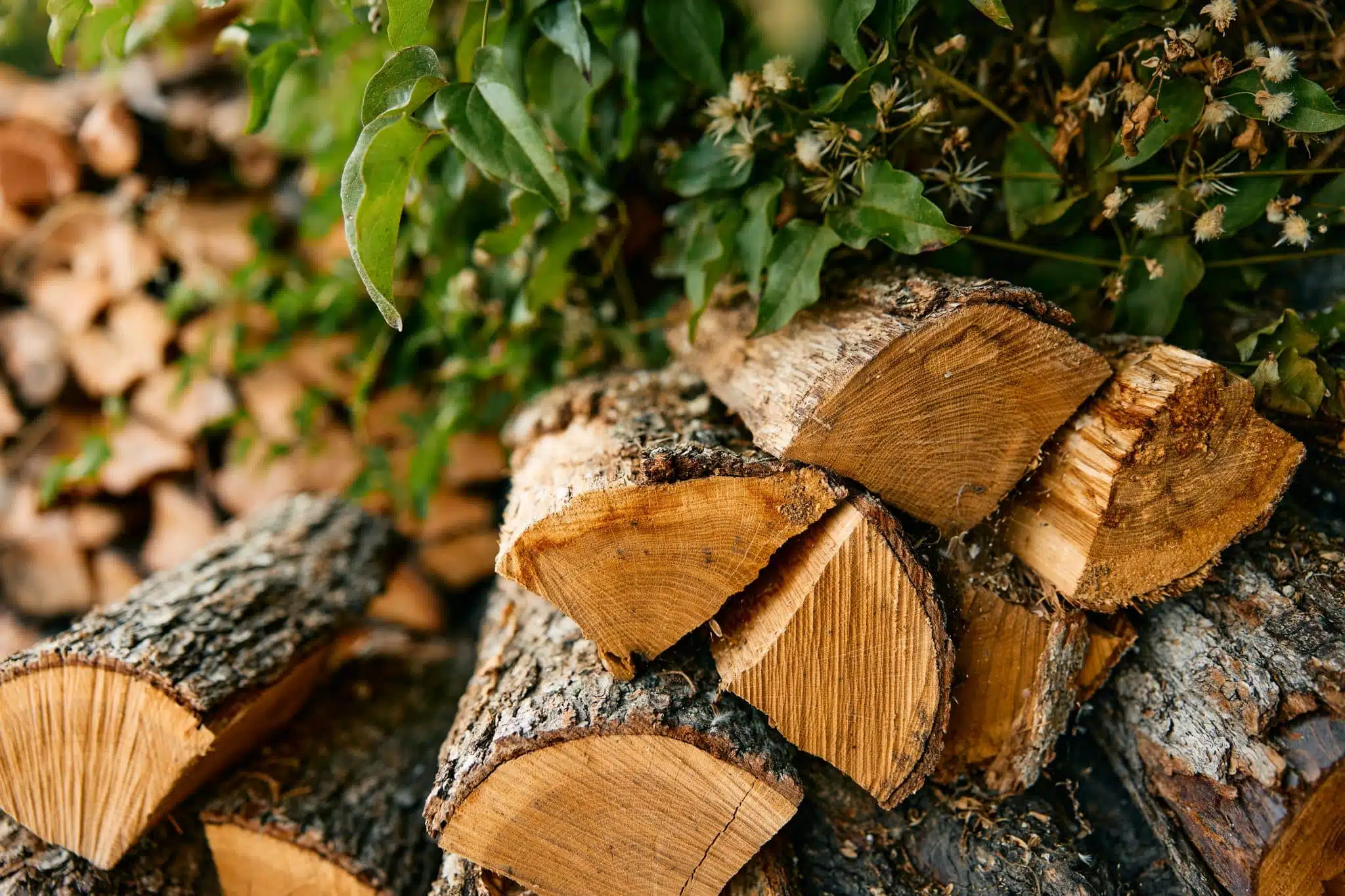 Cette arnaque au bois de chauffage est redoutable en automne, elle a déja fait de nombreuses victimes