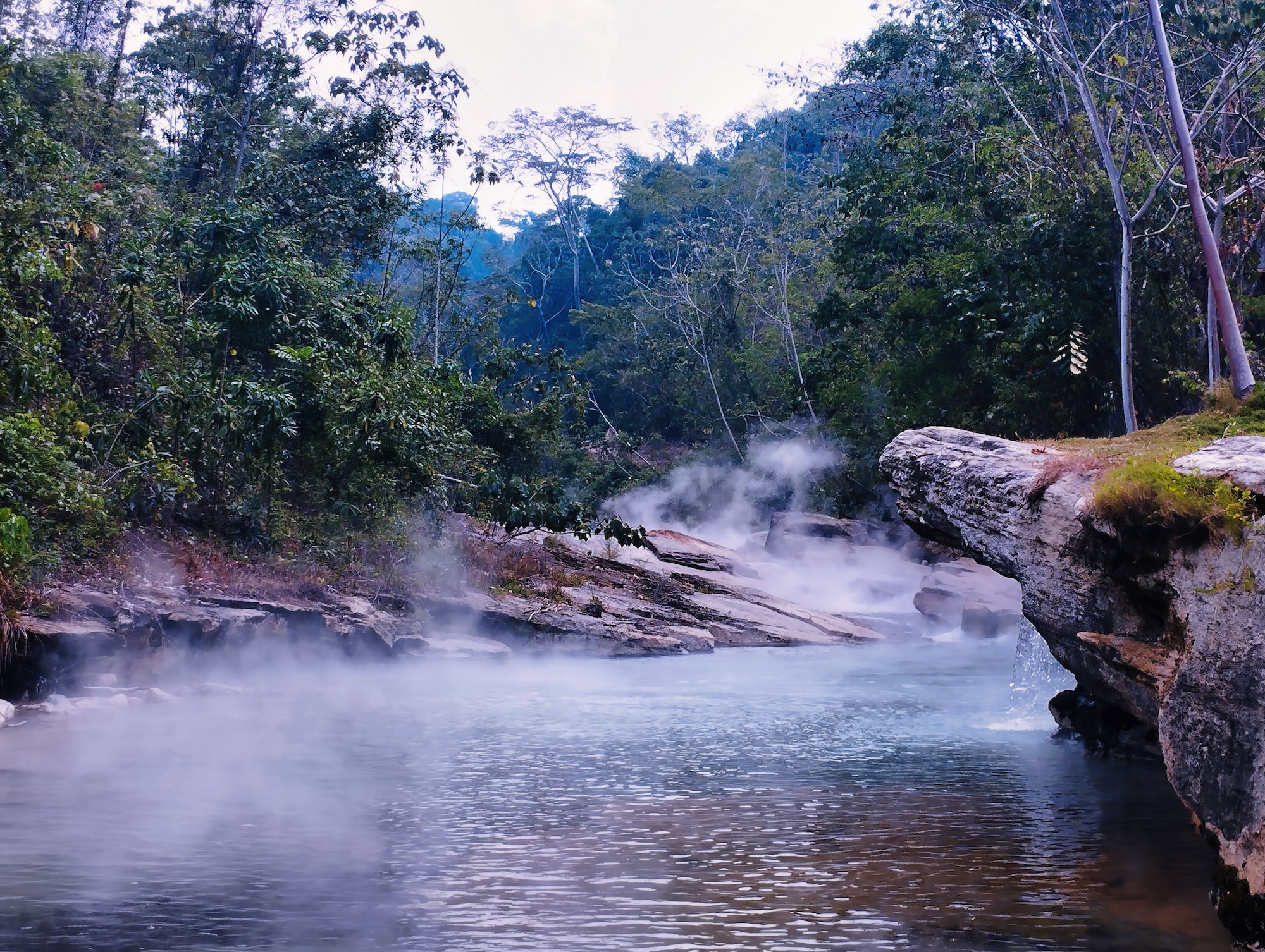 l'eau de cette rivière atteint plus de 90°c, elle bout et cuit les animaux vivants